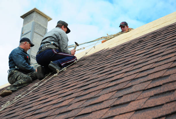 Best Roof Restoration Services  in Summerside, OH